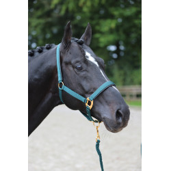 Capezza TopLine Covalliero Capezza TopLine Covalliero