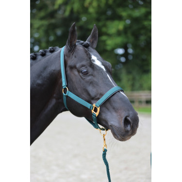 Capezza TopLine Covalliero Capezza TopLine Covalliero