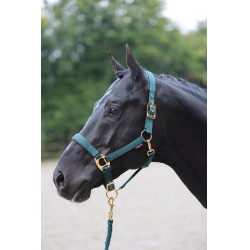 Capezza TopLine Covalliero Capezza TopLine Covalliero