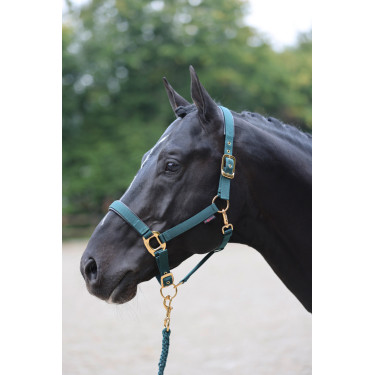 Capezza TopLine Covalliero Capezza TopLine Covalliero