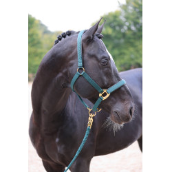 Capezza TopLine Covalliero Capezza TopLine Covalliero