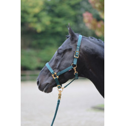 Capezza TopLine Covalliero Capezza TopLine Covalliero