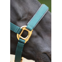 Capezza TopLine Covalliero Capezza TopLine Covalliero