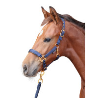 Capestro per puledro TopLine Covalliero Blu navy