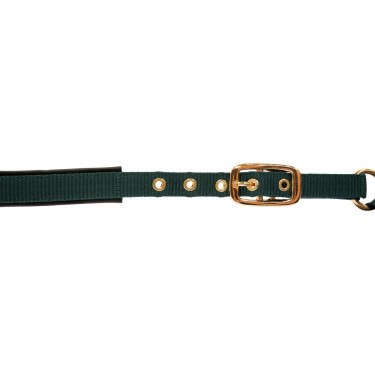 Capestro per puledro TopLine Covalliero Verde foresta