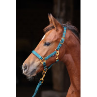 Capestro per puledro TopLine Covalliero Blu navy