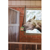 Spielzeug Delizia® Sandwich Kerbl Carota