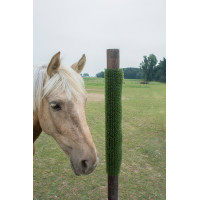 Piastra per grattare e pulire KratzPad Kerbl Verde