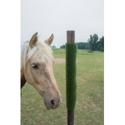 Piastra per grattare e pulire KratzPad Kerbl Verde