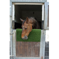 Piastra per grattare e pulire KratzPad Kerbl Verde