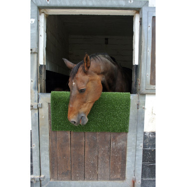 Piastra per grattare e pulire KratzPad Kerbl Verde