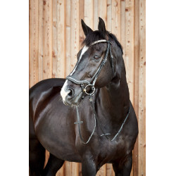 Briglia anatomica Horze Highbury frontalino con strass Briglia anatomica Horze Highbury frontalino con strass