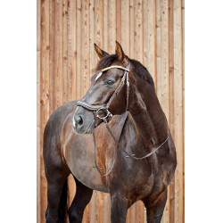 Briglia anatomica Horze Highbury frontalino con strass Marrone scuro