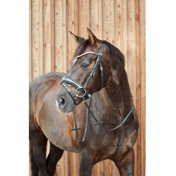 Briglia anatomica Horze Somerset Briglia anatomica Horze Somerset