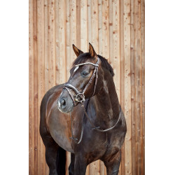 Briglia anatomica Horze Somerset Briglia anatomica Horze Somerset