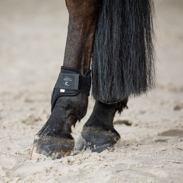 Stinchiere e paranocche Horze Armour Airflow Nero