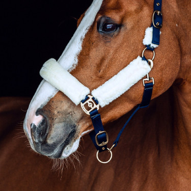 Capezzina in montone Horze Lincoln Abito blu / bianco sporco Capezzina in montone Horze Lincoln Abito blu / bianco sporco