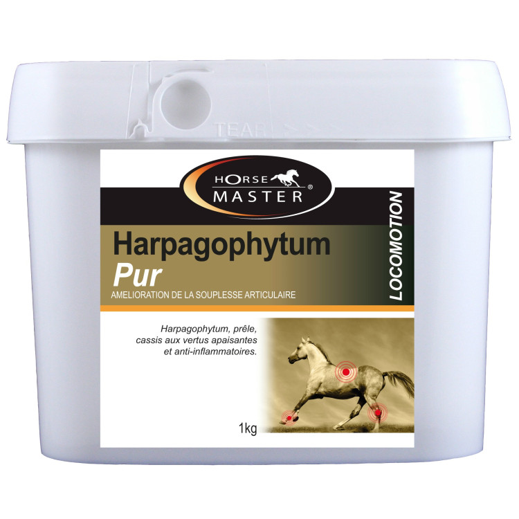 Harpagophytum pur semoulette Horse Master
