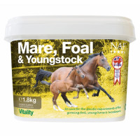 Fattrici, puledri e giovani...