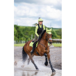 Intimo tecnico My LeMieux Kiwi Kaki