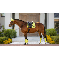 Sottosella LeMieux Loire Classic Dressage Square Kiwi Kaki Sottosella LeMieux Loire Classic Dressage Square Kiwi Kaki