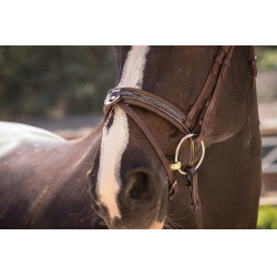 Bridon Pénélope Harmonie Avana Marrone