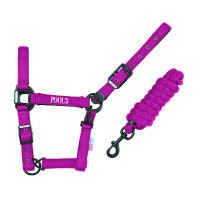 Licol Pool's nylon boucles noires avec longe Vert citron