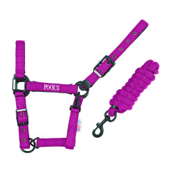 Cavezzone Pool in nylon con fibbie nere e longhina Fucsia Rosa