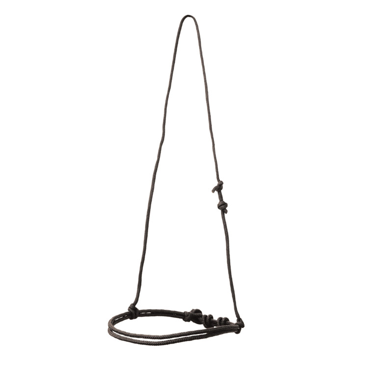 Noseband Western Pool's in corda