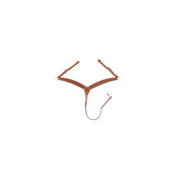 Pettorale western Pool's Border stamp