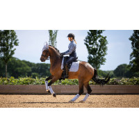 Fasce da polo equitazione LeMieux eleganti