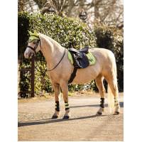 Cuffia antimosche LeMieux Junior Loire Blu navy Cuffia antimosche LeMieux Junior Loire Blu navy