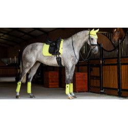 Tappetino LeMieux Suede Dressage Square Kiwi Kaki Tappetino LeMieux Suede Dressage Square Kiwi Kaki