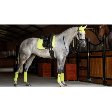 Tappetino LeMieux Suede Dressage Square Kiwi Kaki Tappetino LeMieux Suede Dressage Square Kiwi Kaki