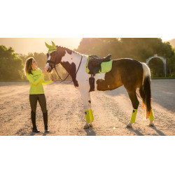 Tappetino LeMieux Suede Dressage Square Kiwi Kaki Tappetino LeMieux Suede Dressage Square Kiwi Kaki