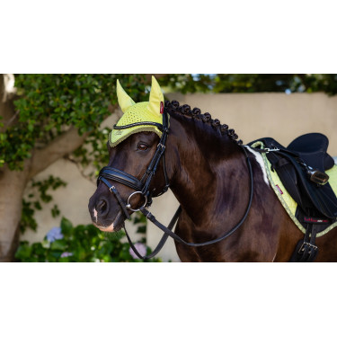 Cuffia anti-mosche Mini LeMieux Kiwi Kaki Cuffia anti-mosche Mini LeMieux Kiwi Kaki