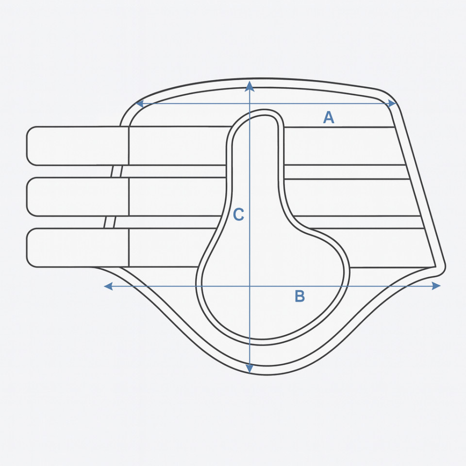 Illustrazione della guida alle taglie per Paranocche cavallo Kingsland