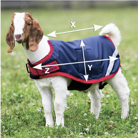 Illustrazione della guida alle taglie per Animali domestici Horseware