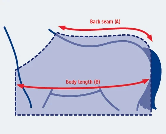 Illustrazione della guida alle taglie per Coperta per cavallo Weatherbeeta