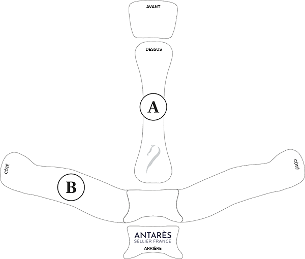 Illustrazione della guida alle taglie per Accessori protezione cavaliere Antares