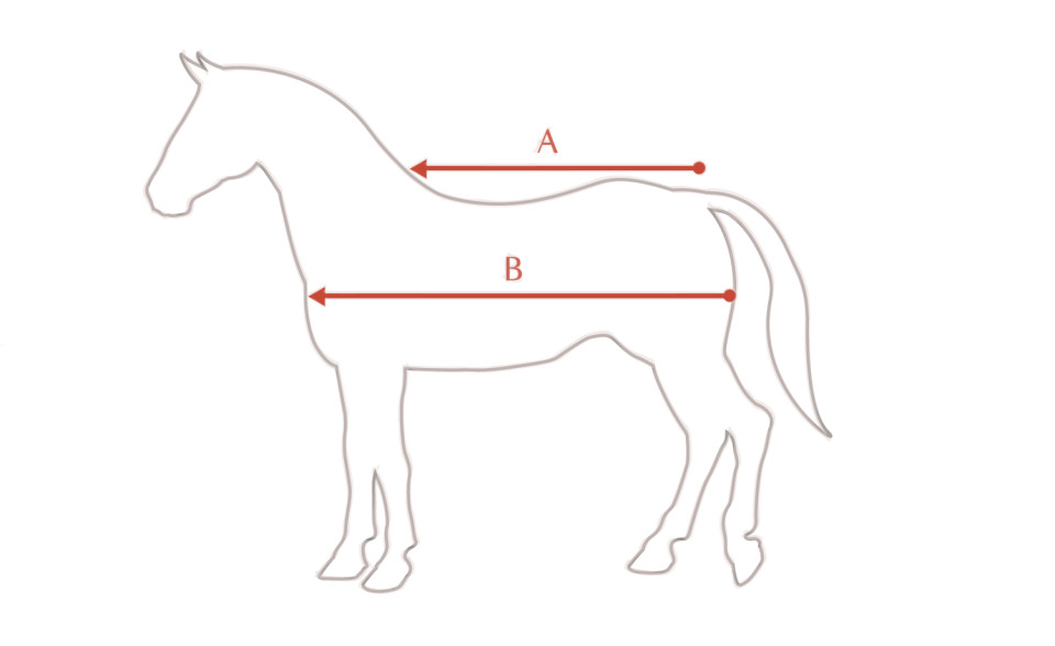 Illustrazione della guida alle taglie per Coperta LeMieux LeMieux