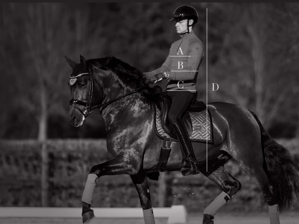 Illustrazione della guida alle taglie per Polo, t-shirt e camicie Equestrian Stockholm