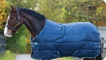 Cavallo 🐎